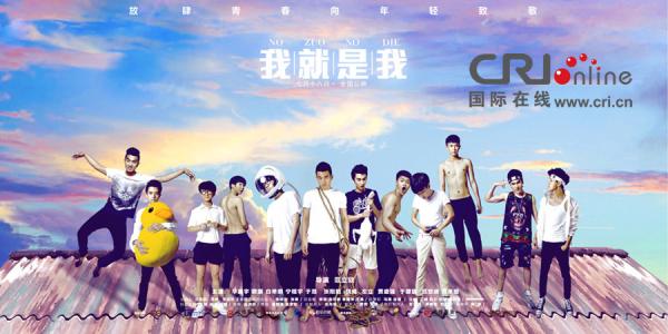 制作威斯康星州驾照多少钱